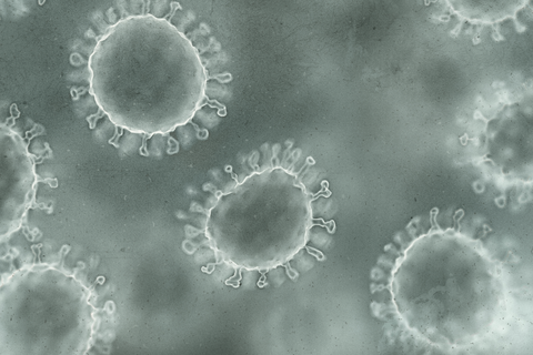 Influenza cells under a microscope