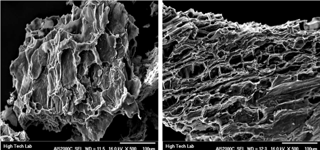 SEM image of activated carbon surface