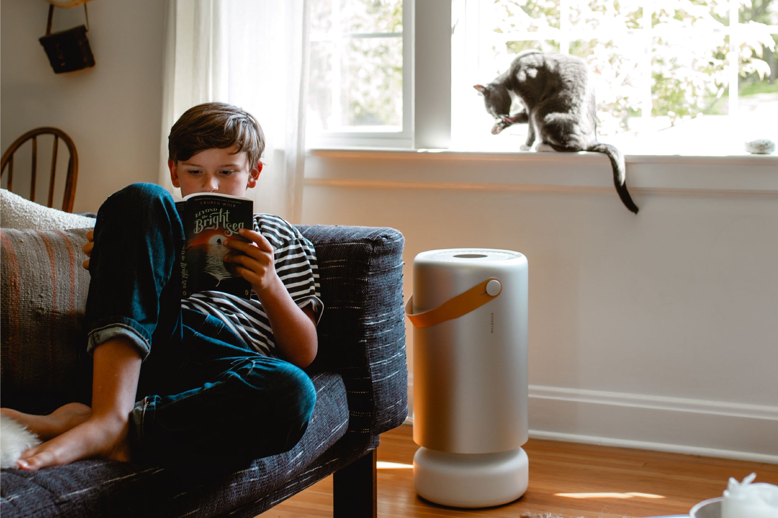 A young boy sits, reading a comic book. Nearby, a gray cat sits on the windowsill just above a Molekule Air Purifier.