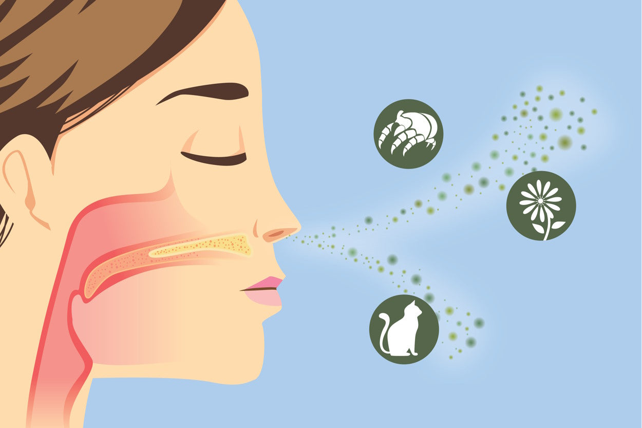 Woman inhaling allergens such as pollen and dust